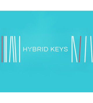 Native Instruments Hybrid Keys /MAC Key GLOBAL